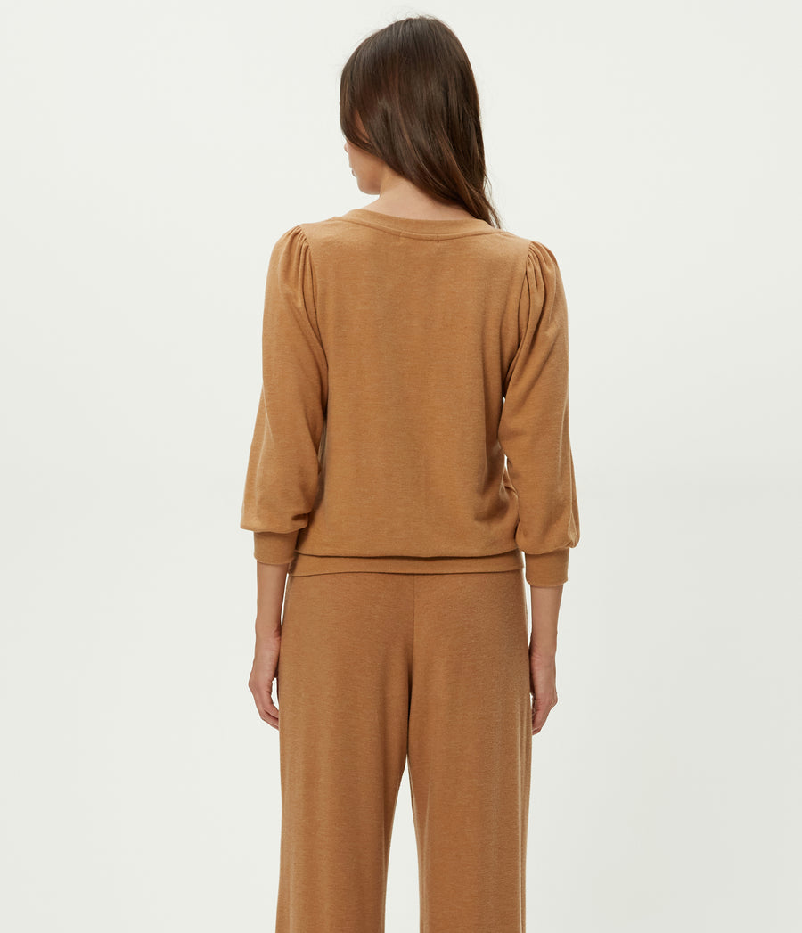 Gabriella V-Neck Top in Cumin Brown Back View #CUMIN