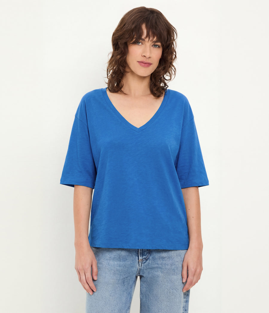 Liam V-Neck Tee in BABY BLUE Blue Full Body View #BLUE RIBBON