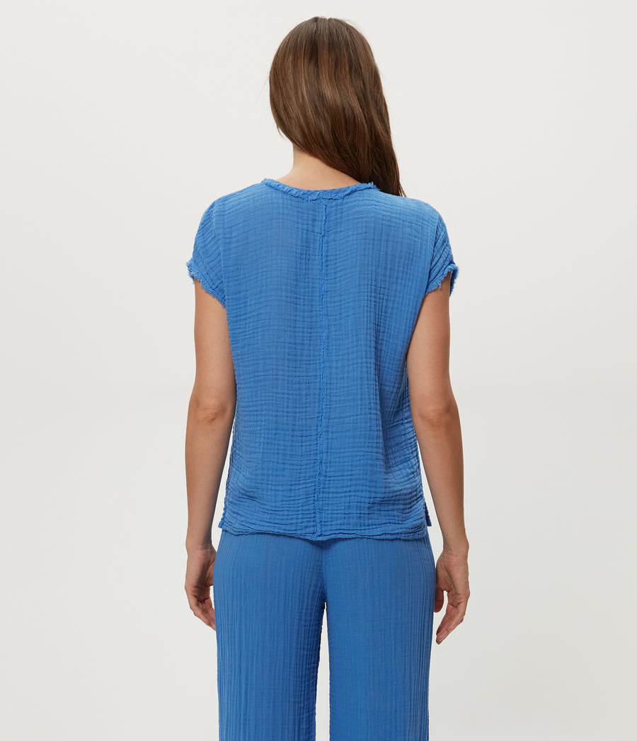Draya Gauze V-Neck Top in BABY BLUE Blue Back View #BLUE RIBBON