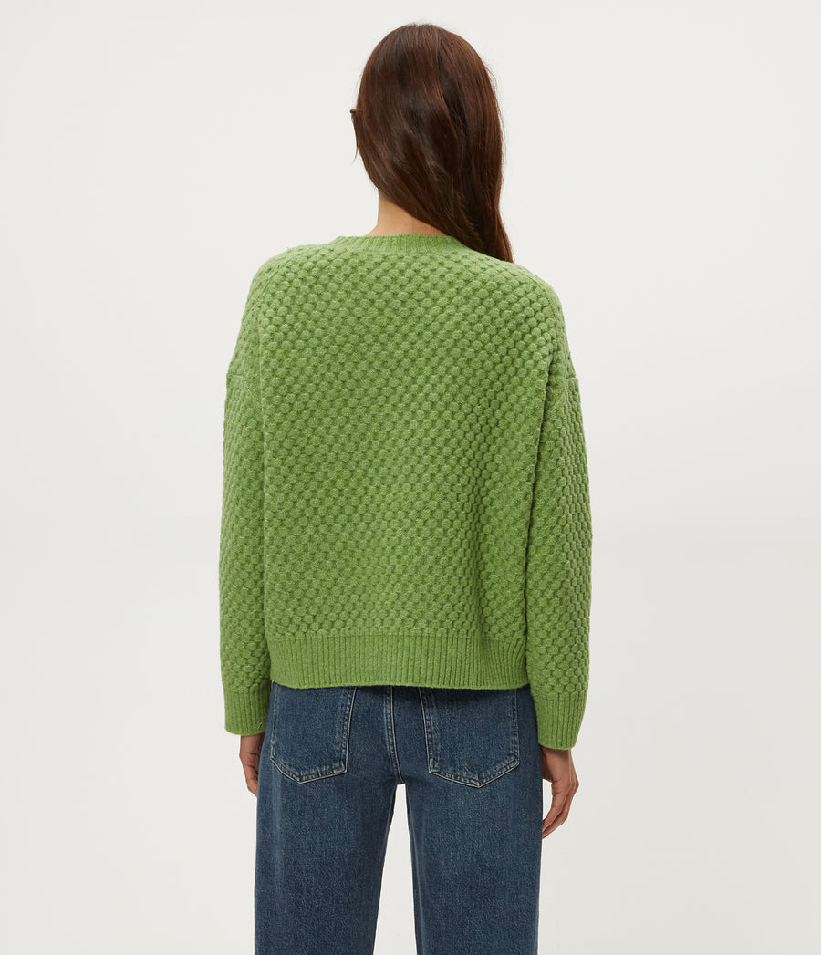 Sophia Honeycomb Stitch Sweater in SPEARMINT Green Back View #SPEARMINT